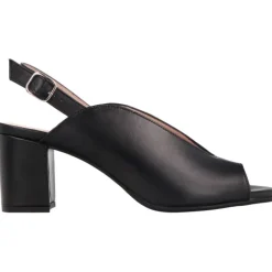 Aerobics Eifeel Cordero Black