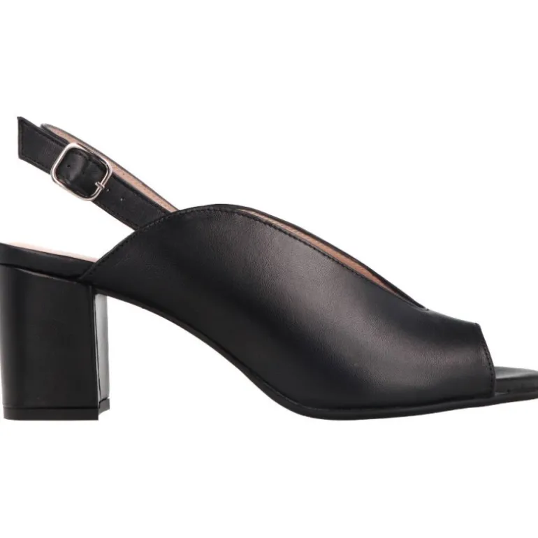 Aerobics Eifeel Cordero Black