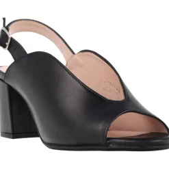 Aerobics Eifeel Cordero Black