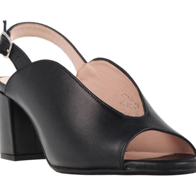 Aerobics Eifeel Cordero Black