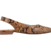Aerobics Pointy Love Camel Animal Print