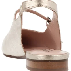 Aerobics Pointy Love Galaxy Platino Gold