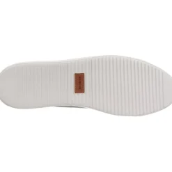 Blackstone Roger Low Antarctica