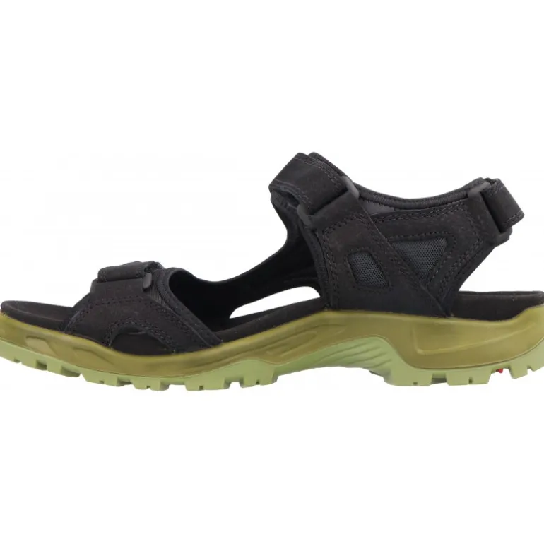 Ecco Offroad Black Acorn