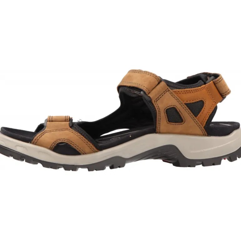 Ecco Offroad Espresso