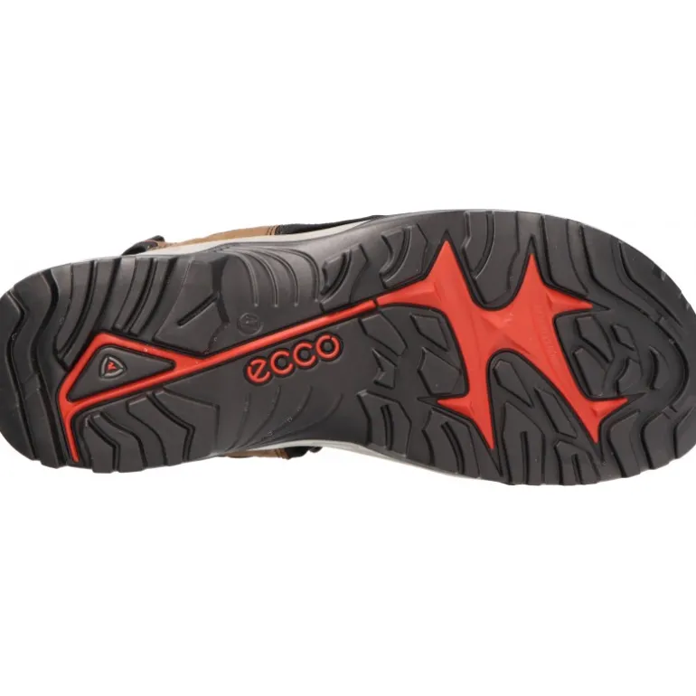 Ecco Offroad Espresso