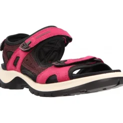 Ecco Yucatan Sangria