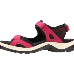 Ecco Yucatan Sangria