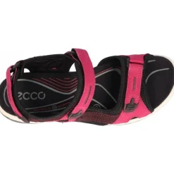 Ecco Yucatan Sangria