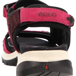 Ecco Yucatan Sangria