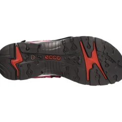 Ecco Yucatan Sangria