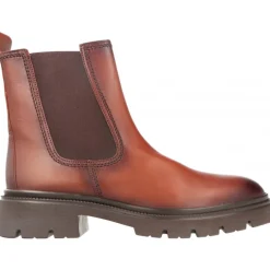 Gabor Azzedine Marrón