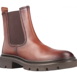 Gabor Azzedine Marrón