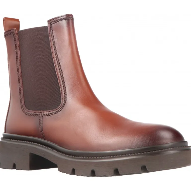 Gabor Azzedine Marrón