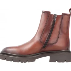 Gabor Azzedine Marrón