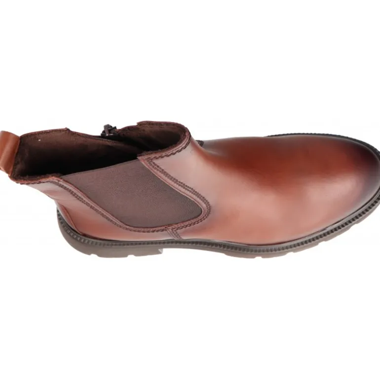 Gabor Azzedine Marrón