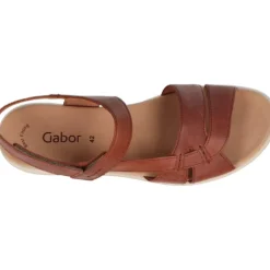 Gabor Feethi Camel