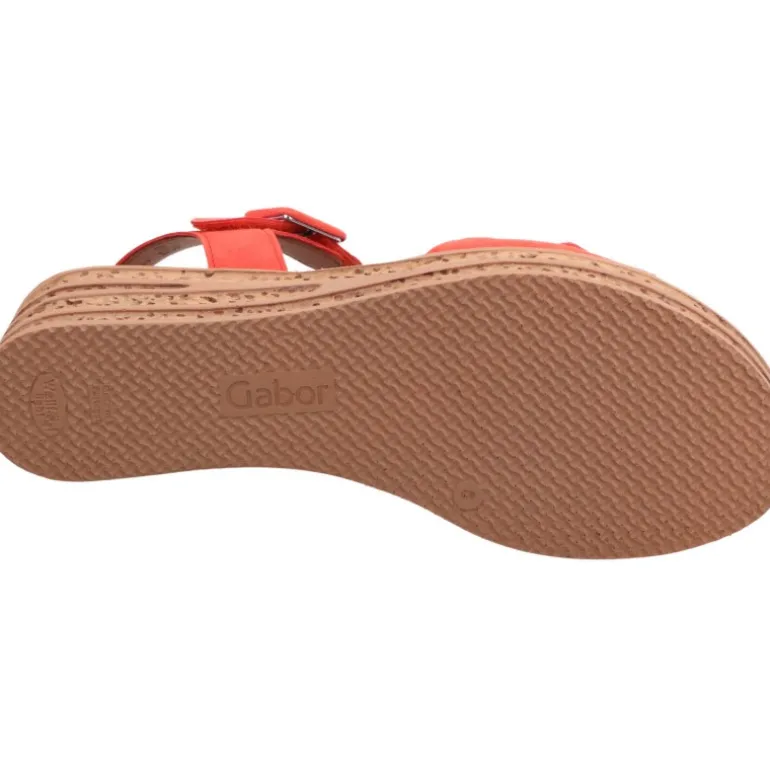 Gabor Glenda Clementine