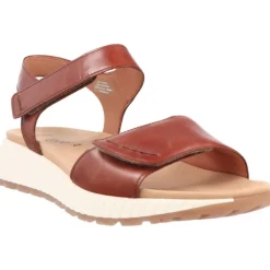 Gabor Glora Camel