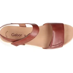 Gabor Glora Camel
