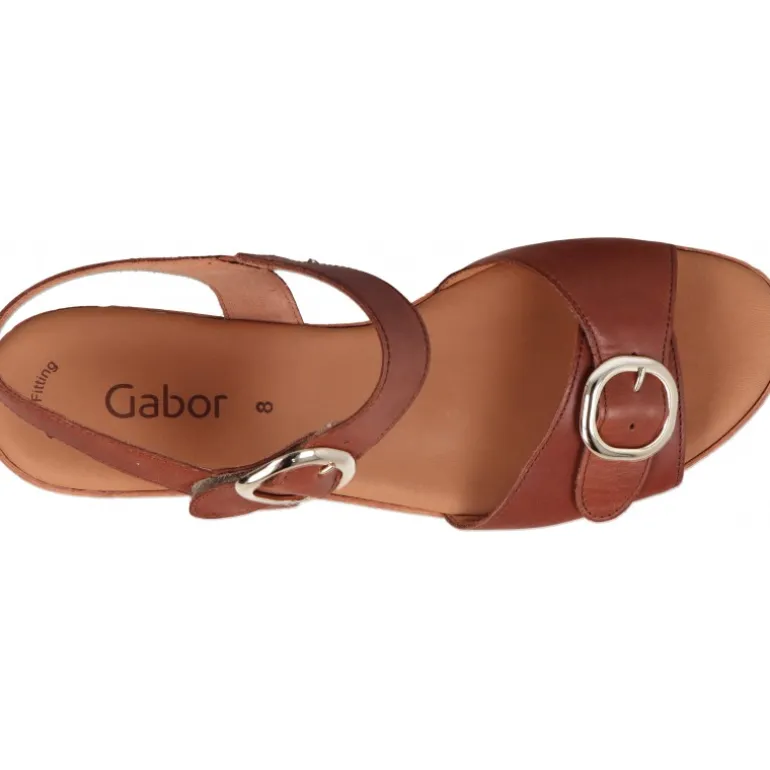Gabor Nina Camel