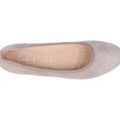 Gabor Salvador Muschel