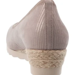 Gabor Salvador Muschel