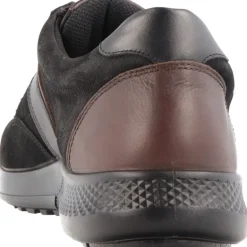 Jomos Campus II Malaga