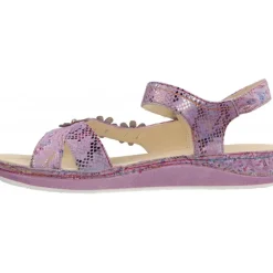 Laura Vita Brcuelo 81 Lilas