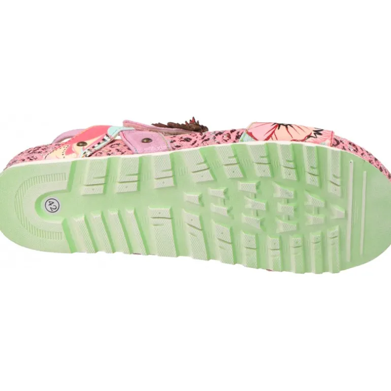 Laura Vita Brcyano 52 Rose