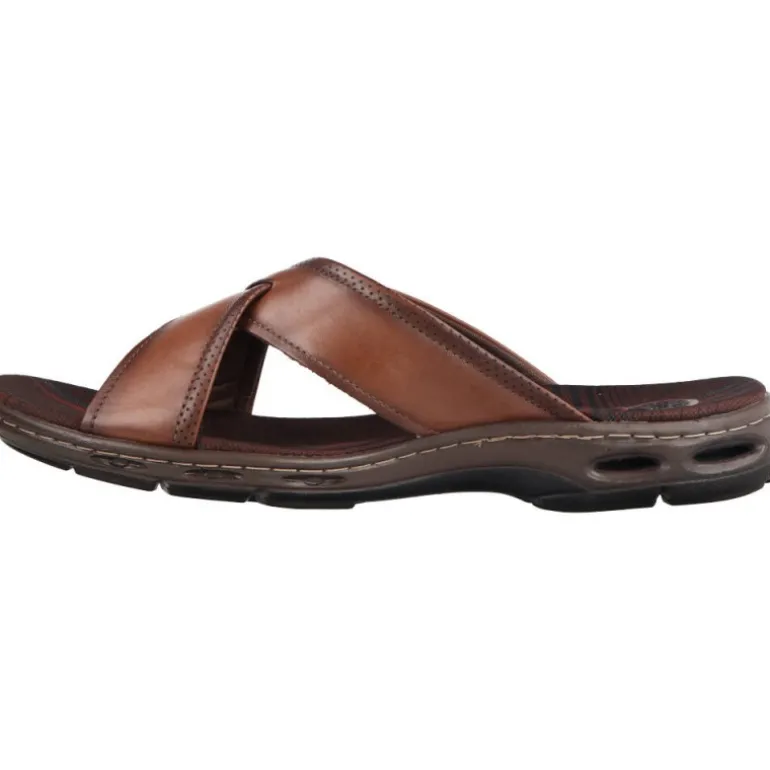 Pegada Naos Anilia Pinhao