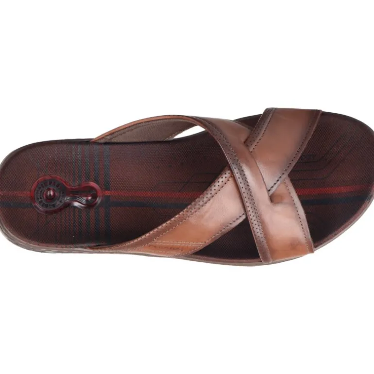 Pegada Naos Anilia Pinhao