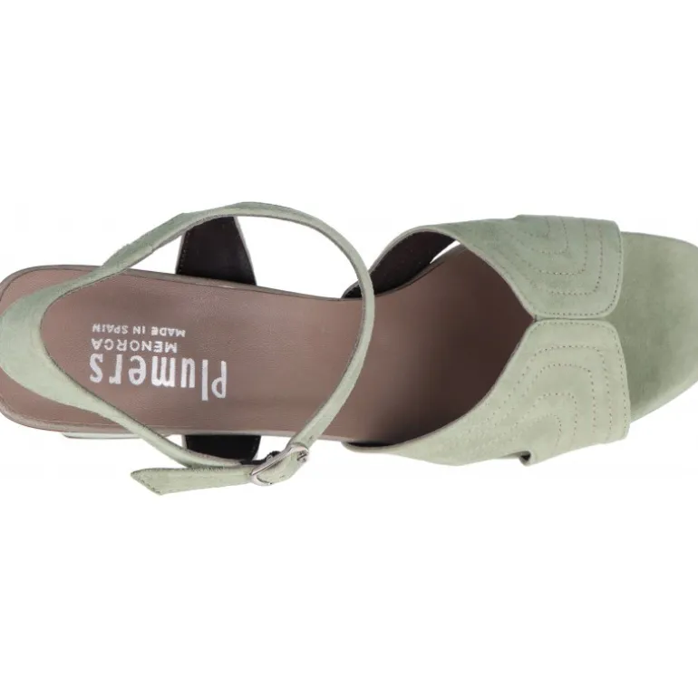 Plumers Ante Lavanda