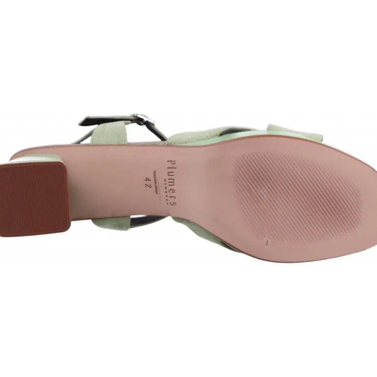 Plumers Ante Lavanda