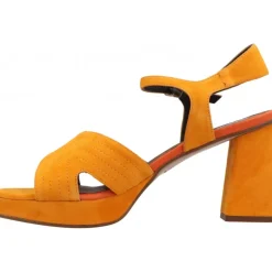 Plumers Paula Ante Papaya