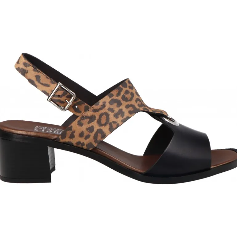 Plumers Spring Becerro Negro