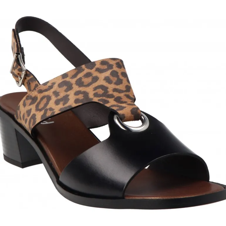 Plumers Spring Becerro Negro