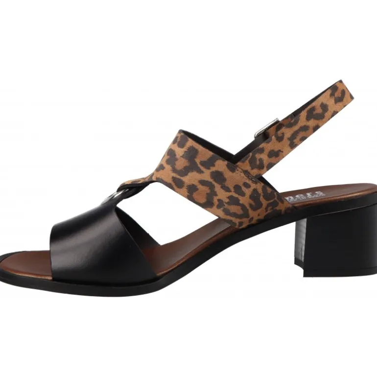 Plumers Spring Becerro Negro