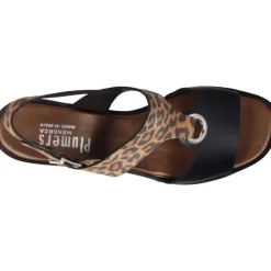 Plumers Spring Becerro Negro