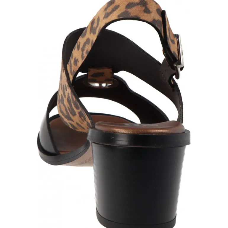 Plumers Spring Becerro Negro