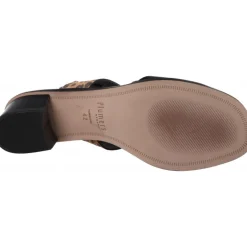 Plumers Spring Becerro Negro