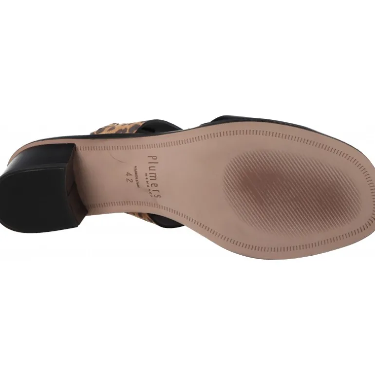 Plumers Spring Becerro Negro