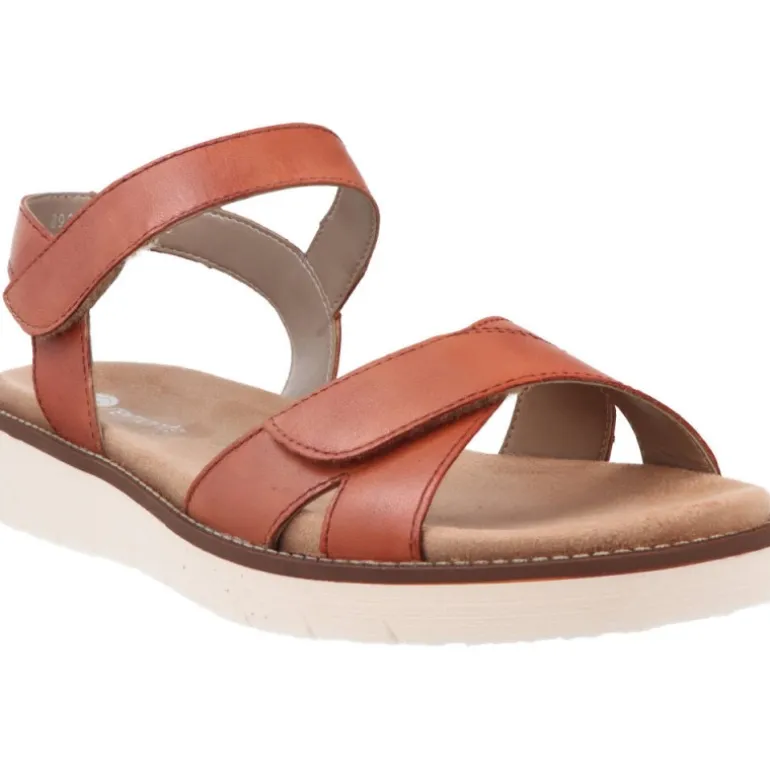 Remonte Alaba Noccia