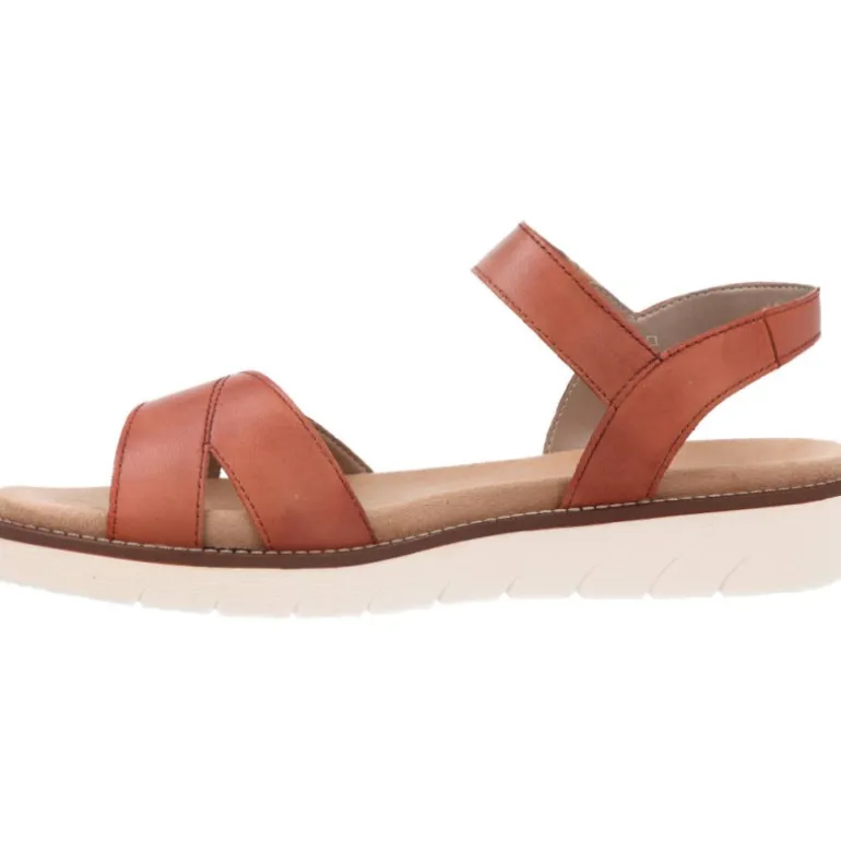 Remonte Alaba Noccia