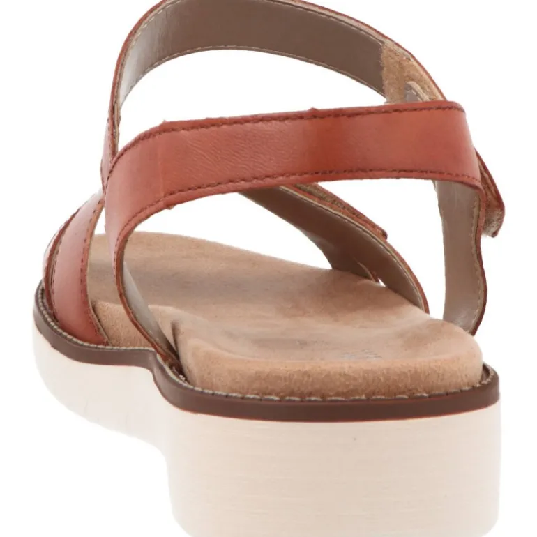 Remonte Alaba Noccia