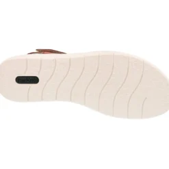 Remonte Alaba Noccia