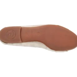 Remonte Hesperia Muschel