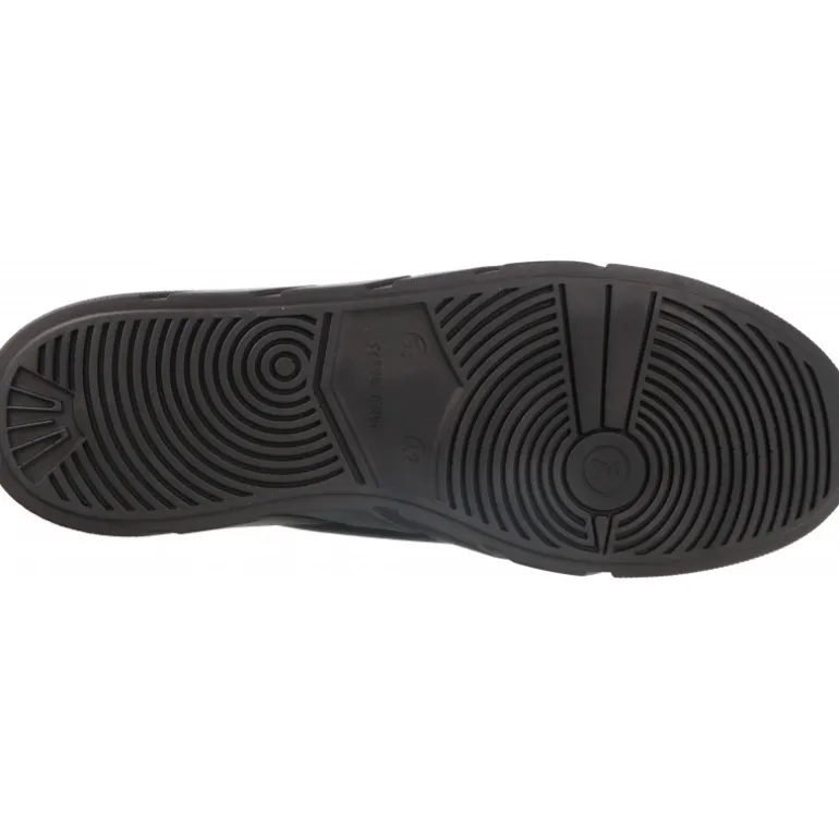 R.Evolution Rock Alula