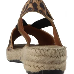 Toni Pons Elmina Leo