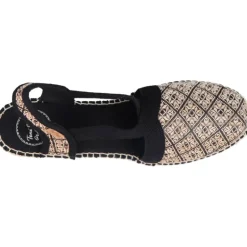 Toni Pons Terra Ge Negre